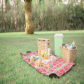 Summer Picnic 